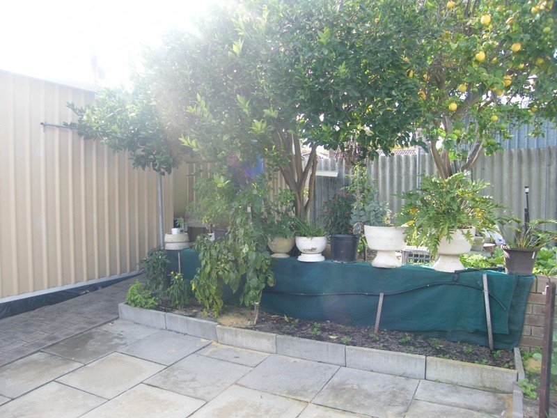 6 Wonyill Street, Wanneroo WA 6065