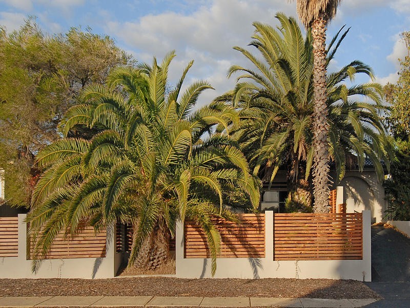 24 Nyunda Drive, Wanneroo WA 6065