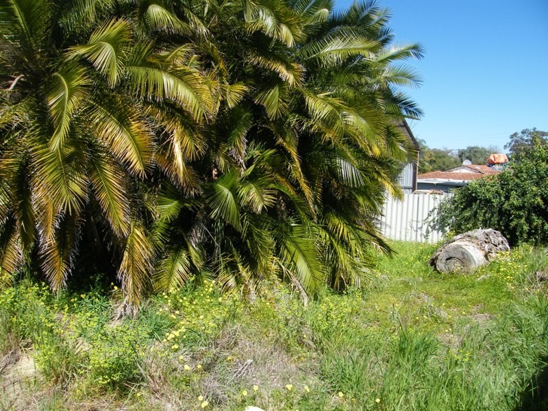 1071 Wanneroo Road, Wanneroo WA 6065