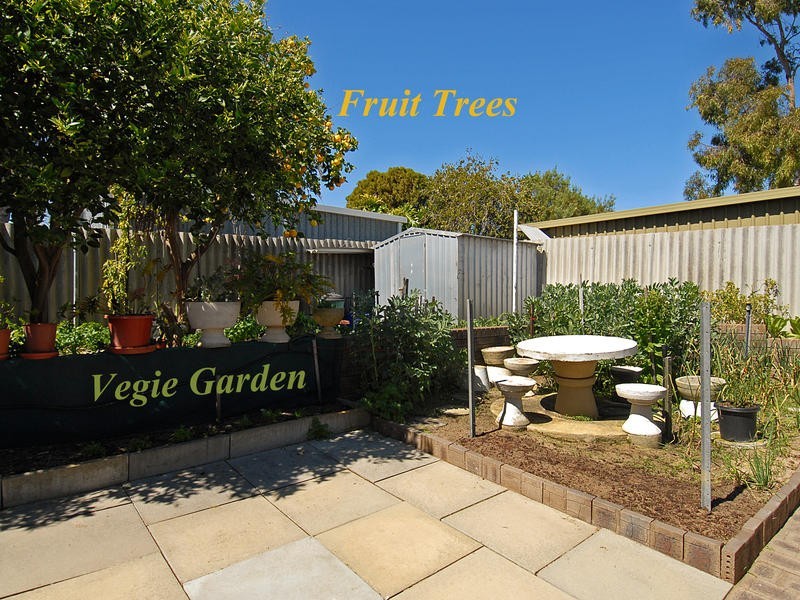 6 Wonyill Street, Wanneroo WA 6065