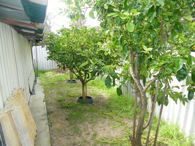 9 Woonan Court, Wanneroo WA 6065