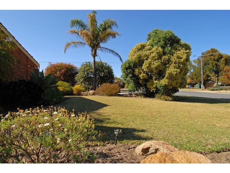 6 Dandaloo Crescent, Wanneroo WA 6065