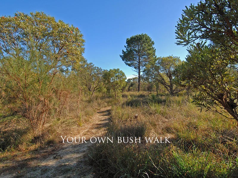 17 Albert Court, Wanneroo WA 6065