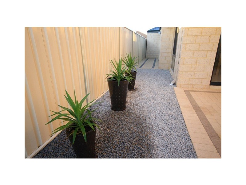 103 Sundowner Meander, Banksia Grove WA 6031