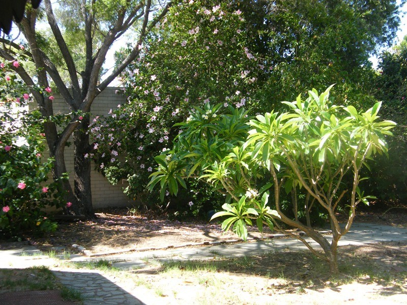 1115 Wanneroo Road, Wanneroo WA 6065