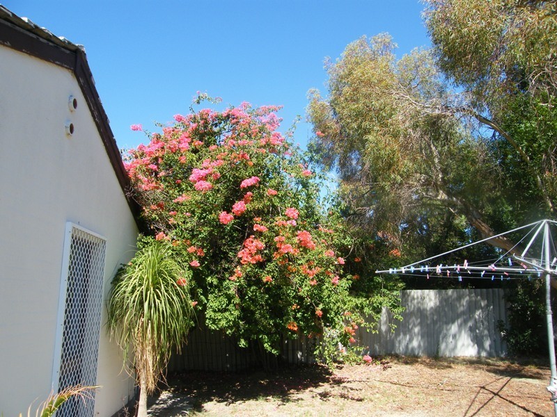 30 Karimba Street, Wanneroo WA 6065