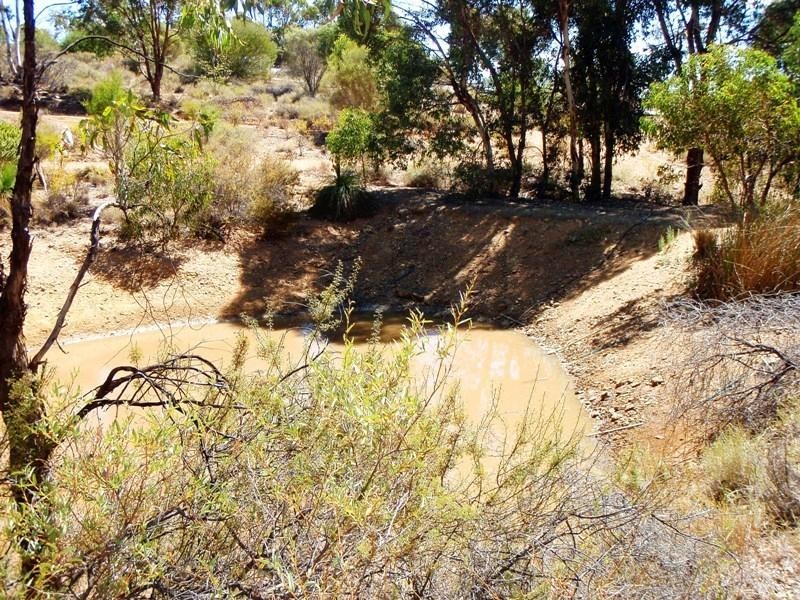 348 Meadowbrook Ramble, Bullsbrook WA 6084