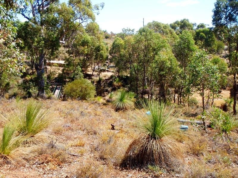 348 Meadowbrook Ramble, Bullsbrook WA 6084