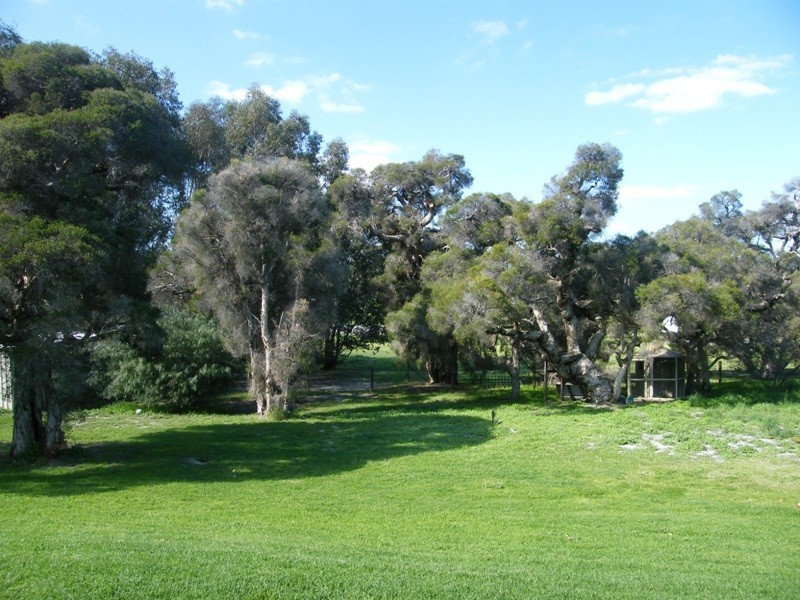 75 The Fairways, Gnangara WA 6077