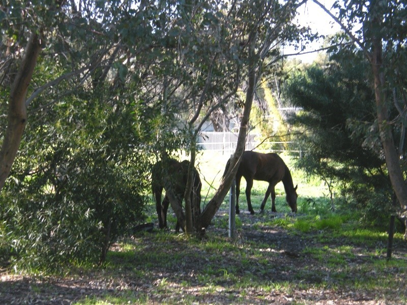 75 The Fairways, Gnangara WA 6077