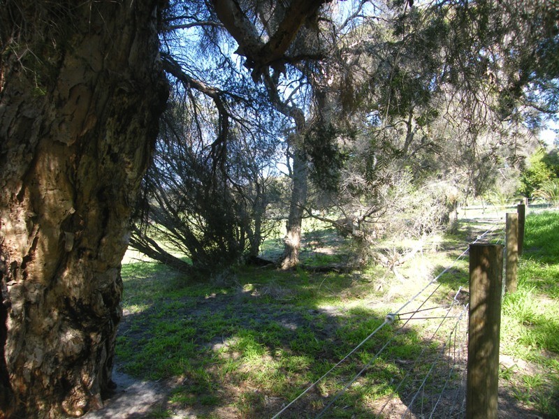 75 The Fairways, Gnangara WA 6077