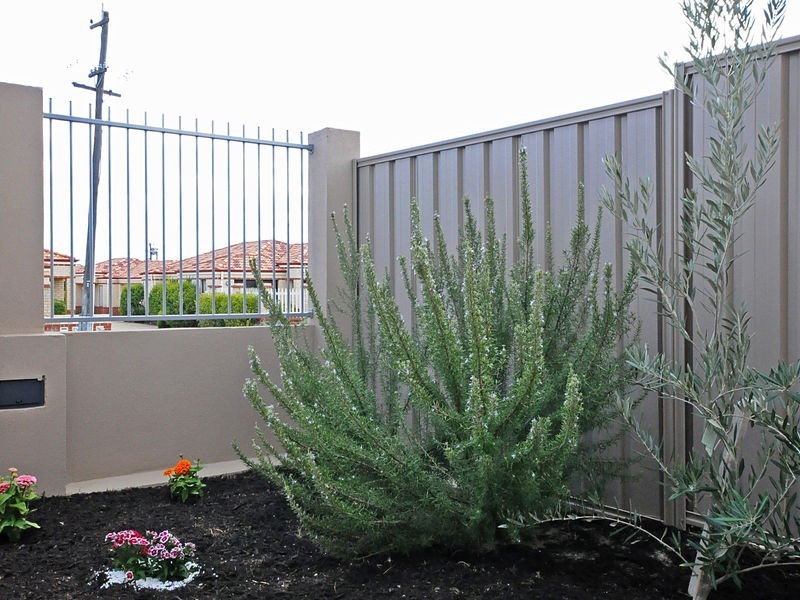 290 Albert Street, Balcatta WA 6021