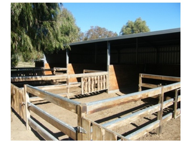 29 Chipping Court, Woodridge WA 6041