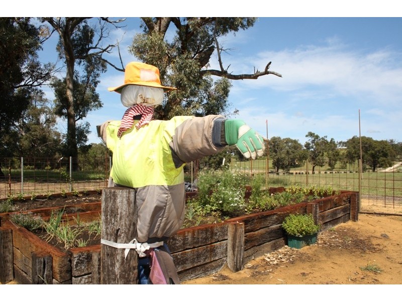 80 Rangeview Drive, Gingin WA 6503