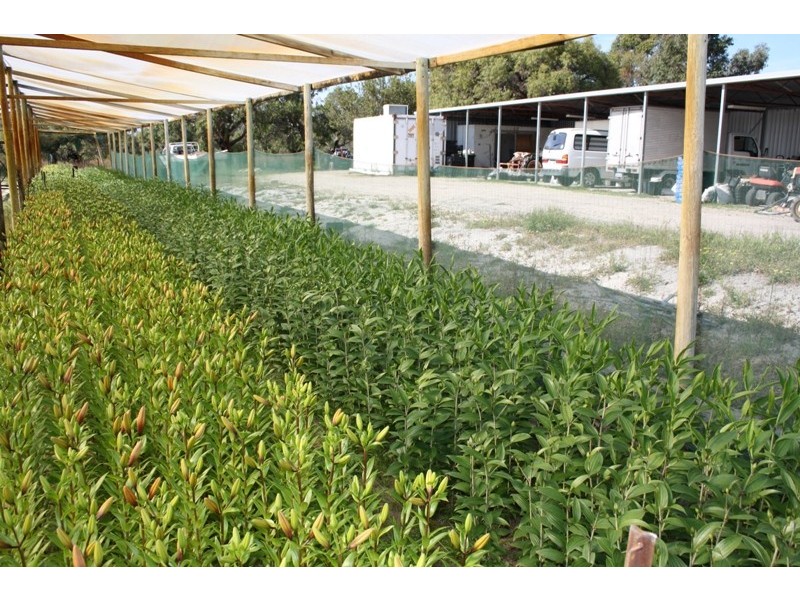 100 Dooling Road, Gingin WA 6503