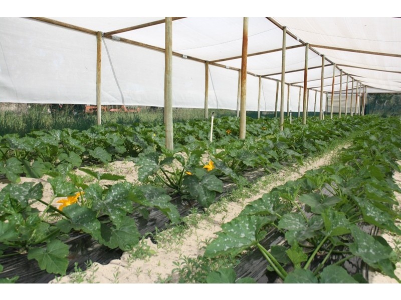 100 Dooling Road, Gingin WA 6503