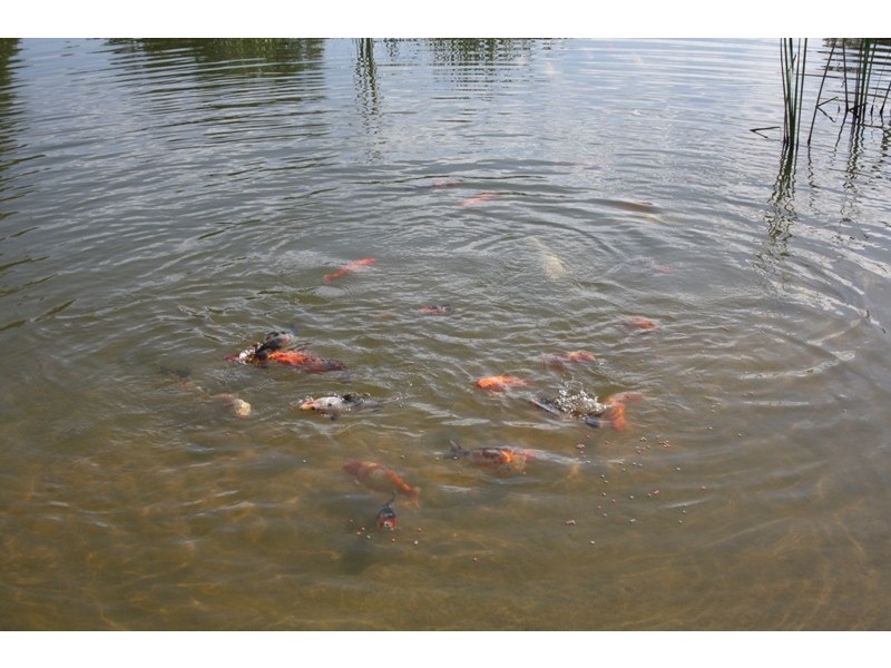 100 Dooling Road, Gingin WA 6503