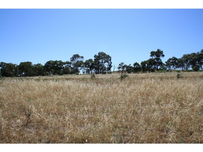 8 Cruden Place, Gingin WA 6503