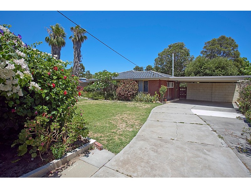 41 Dallas Crescent, Wanneroo WA 6065
