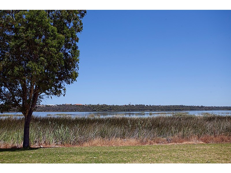 41 Dallas Crescent, Wanneroo WA 6065