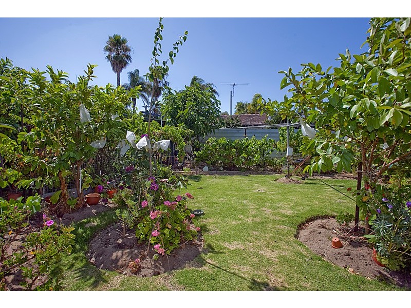 12 Dallas Crescent, Wanneroo WA 6065