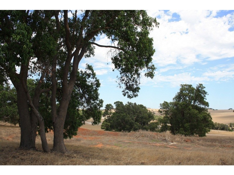 115 Rig Road, Gingin WA 6503