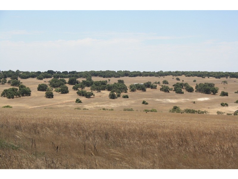 115 Rig Road, Gingin WA 6503