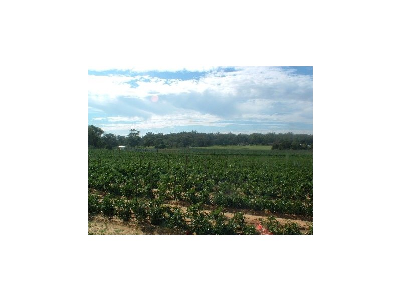 219 Bernard Road, Carabooda WA 6033