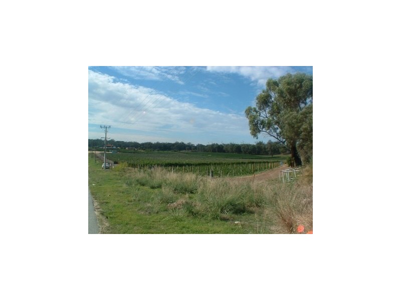 219 Bernard Road, Carabooda WA 6033