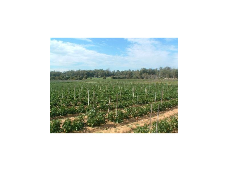 219 Bernard Road, Carabooda WA 6033