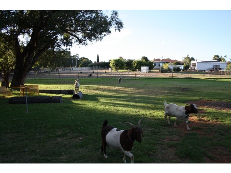 15 Fraser Street, Gingin WA 6503