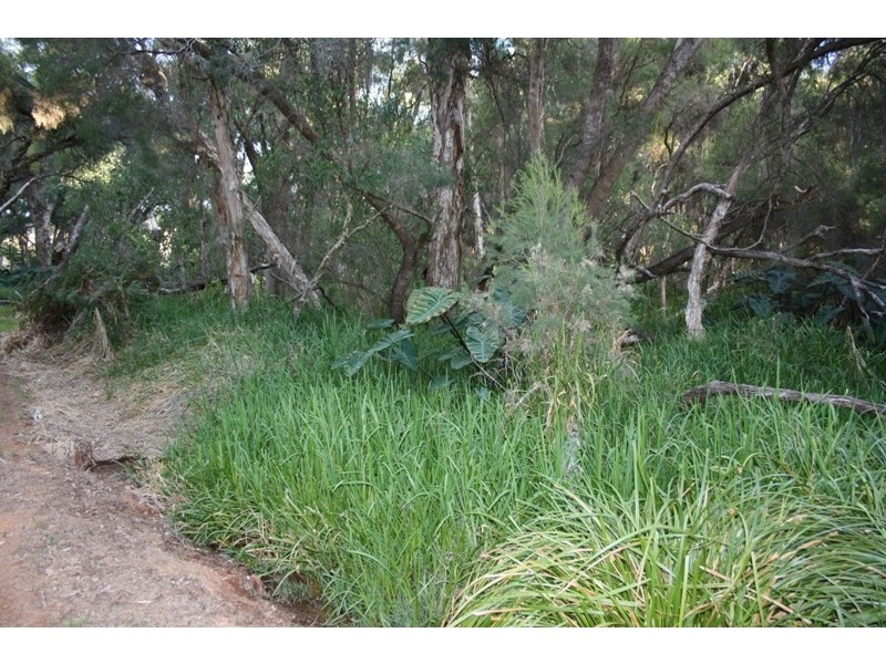 15 Fraser Street, Gingin WA 6503