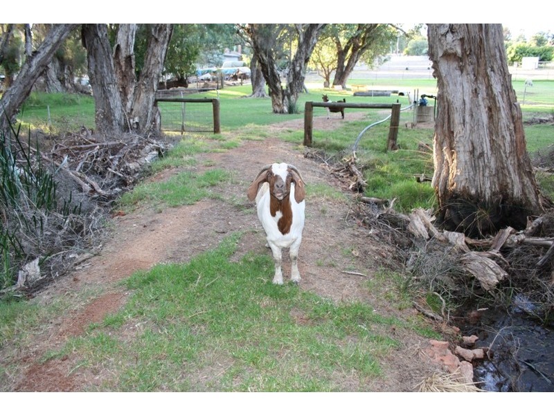 15 Fraser Street, Gingin WA 6503