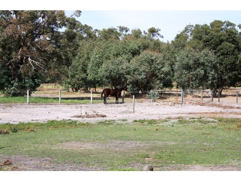 Lot 581 Archibald Street, Muchea WA 6501