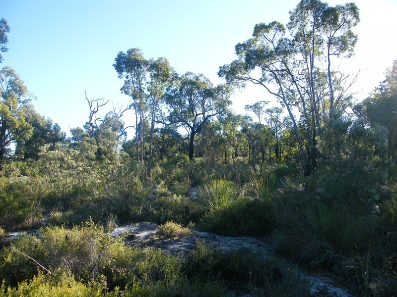 873 Ghost Gum Ridge, Chittering WA 6084