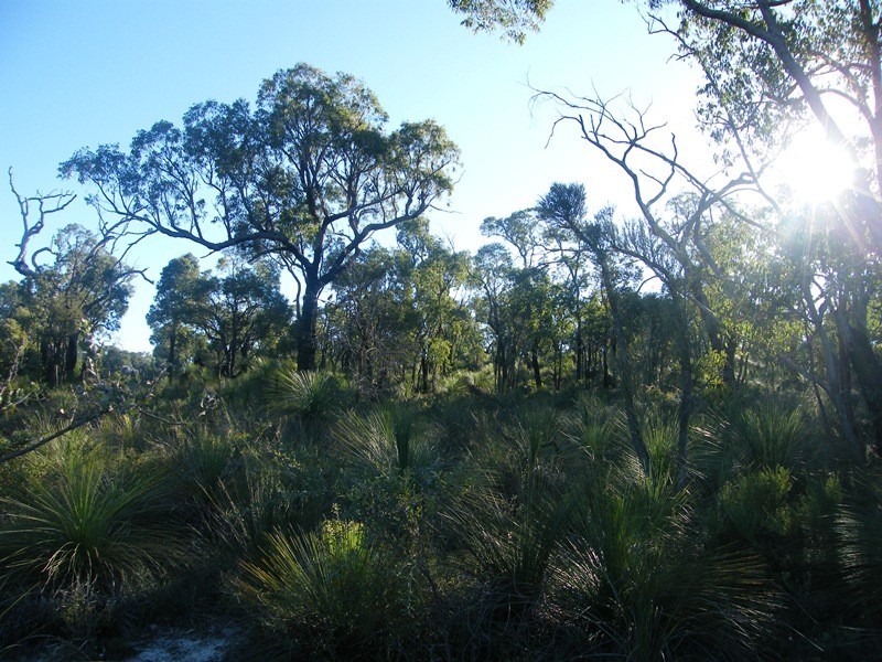 873 Ghost Gum Ridge, Chittering WA 6084