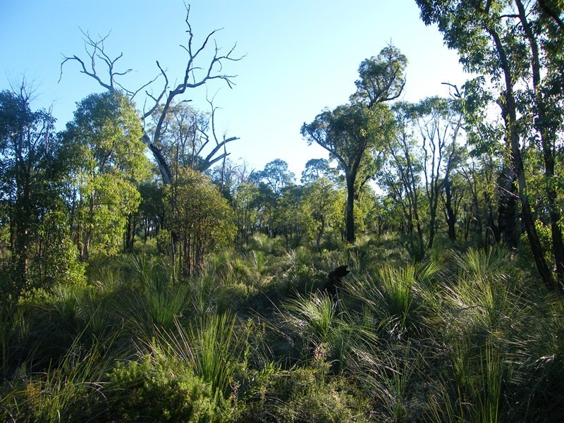 873 Ghost Gum Ridge, Chittering WA 6084