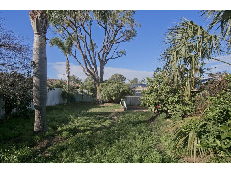 10 Nyunda Drive, Wanneroo WA 6065