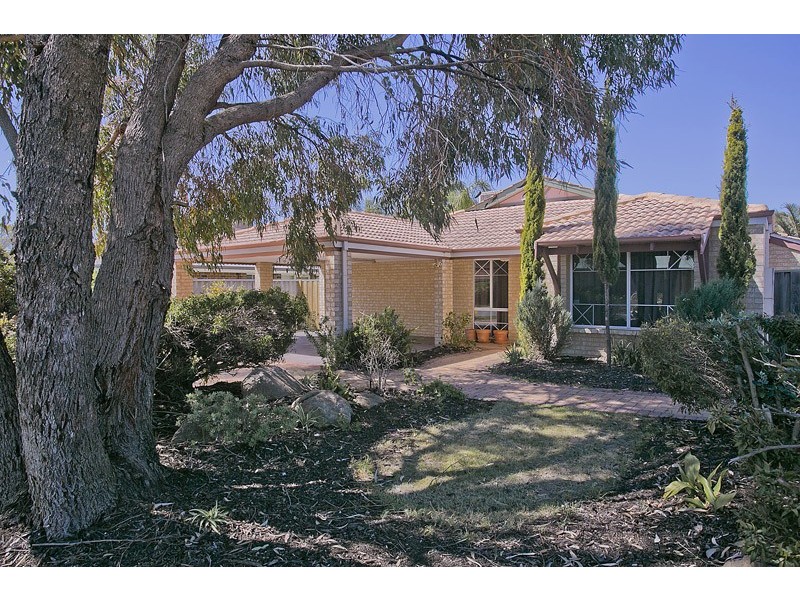 66 Mangrove Circuit, Banksia Grove WA 6031