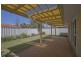 66 Mangrove Circuit, Banksia Grove WA 6031