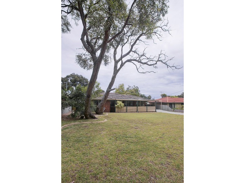 81 Frederick Street, Wanneroo WA 6065