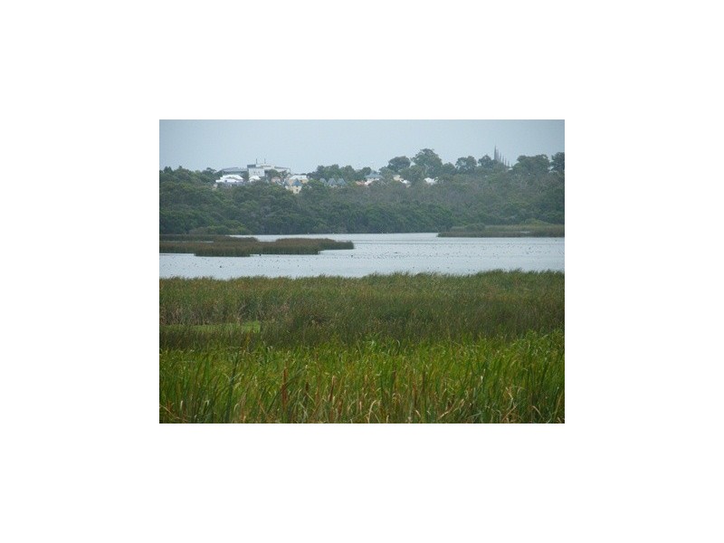 66 Ariti Avenue, Wanneroo WA 6065