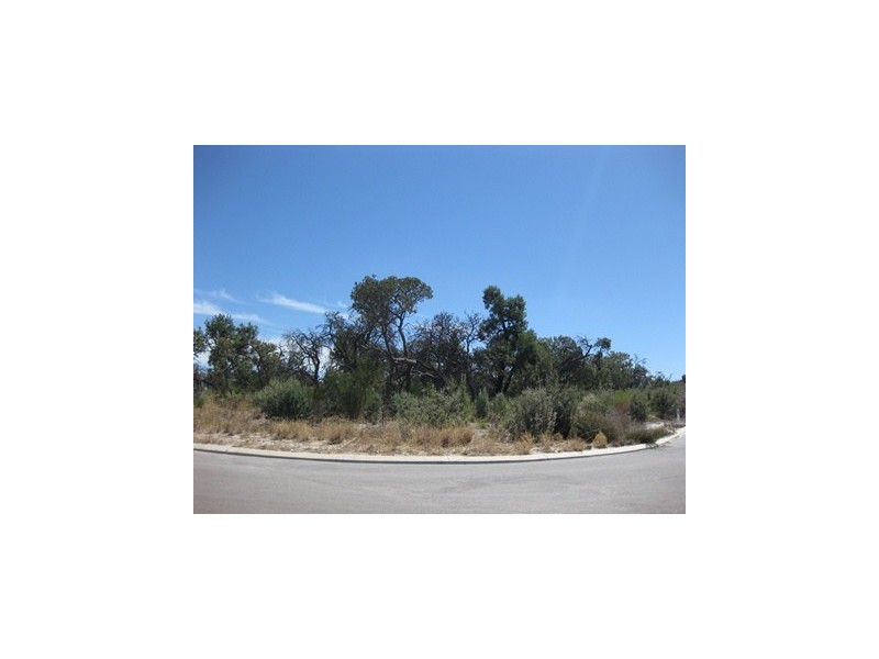 125 Payne Street, Muchea WA 6501