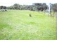 62 Neaves Road, Bullsbrook WA 6084