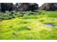 62 Neaves Road, Bullsbrook WA 6084