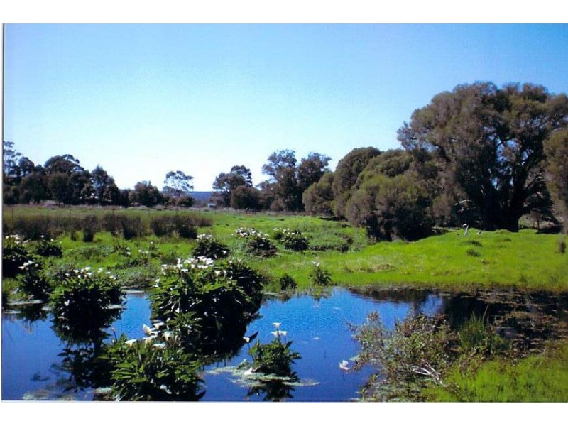 62 Neaves Road, Bullsbrook WA 6084