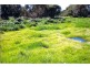 62 Neaves Road, Bullsbrook WA 6084