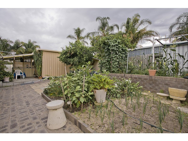 6 Wonyill Street, Wanneroo WA 6065