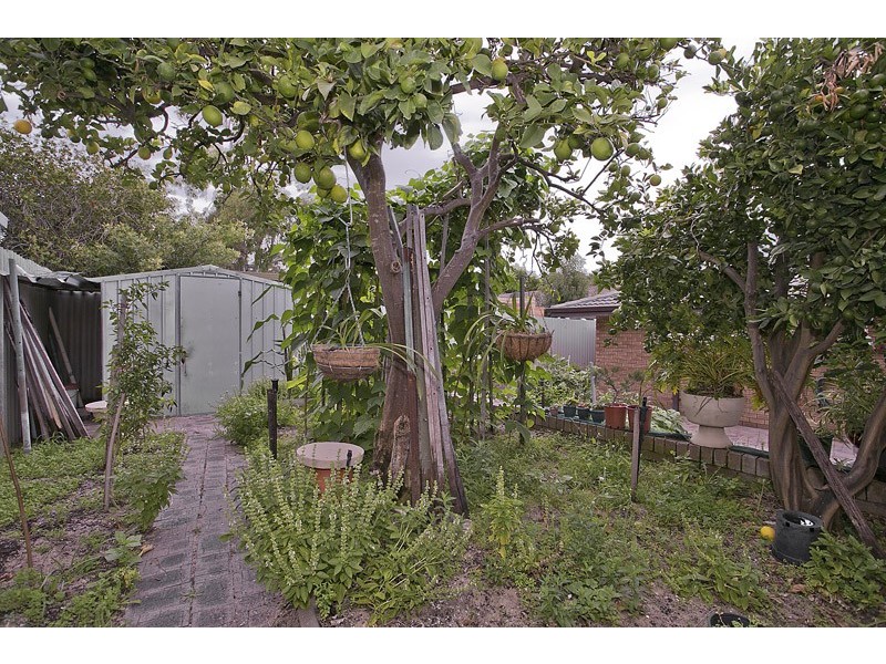 6 Wonyill Street, Wanneroo WA 6065