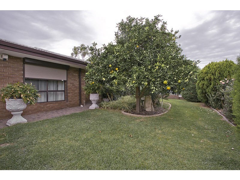 6 Wonyill Street, Wanneroo WA 6065